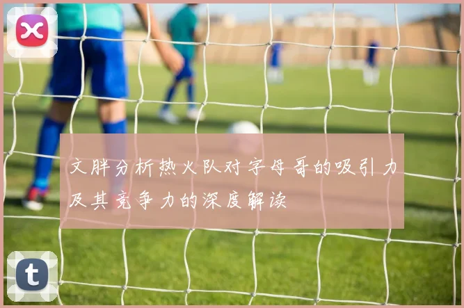 文胖分析热火队对字母哥的吸引力及其竞争力的深度解读